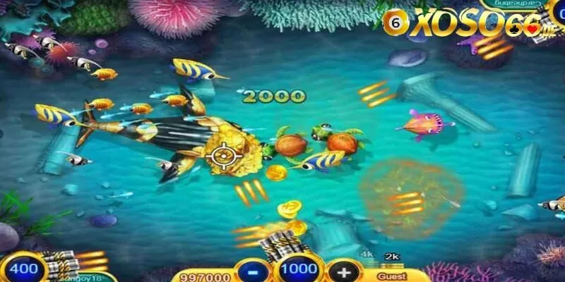 Đôi nét về tựa game ACE Fishing