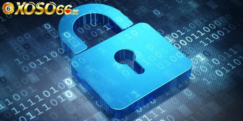 Nắm rõ những quyền cơ bản khi tham gia sân chơi