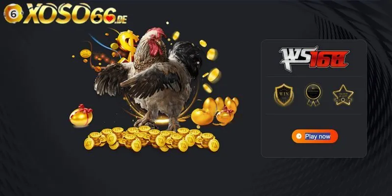 Chuyên mục đá gà hấp dẫn, kịch tính hot nhất trên sàn cược