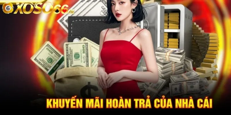 Chương trình hoàn trả cược cao được yêu thích nhất