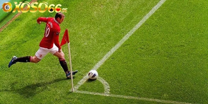 Kèo phạt góc rung là lựa chọn của rất nhiều người chơi