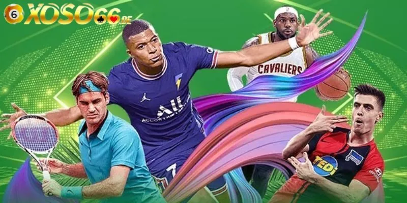 Chuyên mục thể thao hấp dẫn, cuốn hút