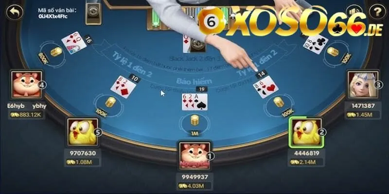 Hướng dẫn cách chơi Xì dách cho tân thủ cá cược